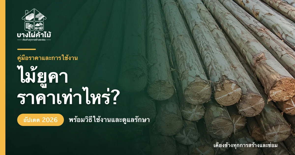 ไม้ยูคาลำตรงวางเรียงกองสำหรับงานค้ำยันและนั่งร้านก่อสร้าง