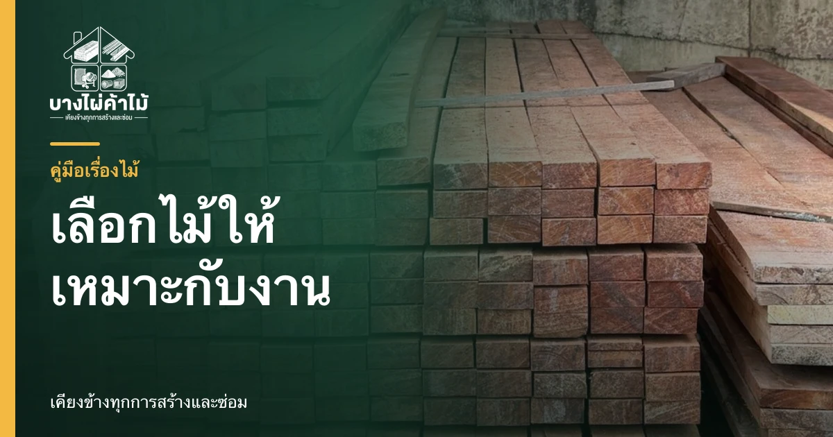 ไม้ก่อสร้างหลายขนาดวางเรียงสำหรับเปรียบเทียบและเลือกใช้ให้เหมาะกับงาน
