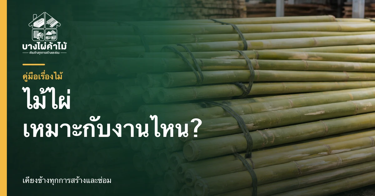 ไม้ไผ่ลำตรงวางรวมกันสำหรับงานนั่งร้าน ค้ำยัน และงานก่อสร้าง